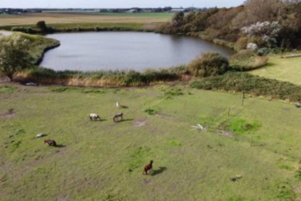 B&B Hoeve Dijkstal Logeren Op De Boerderij Sint Maarten Bagian luar foto